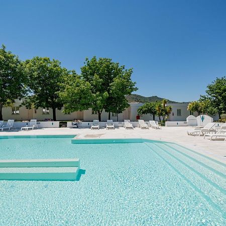 Hotel Le Mimose San Teodoro  Extérieur photo